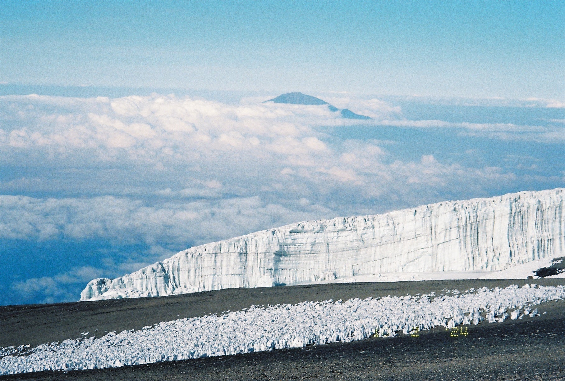 Kilimanjaro Collection